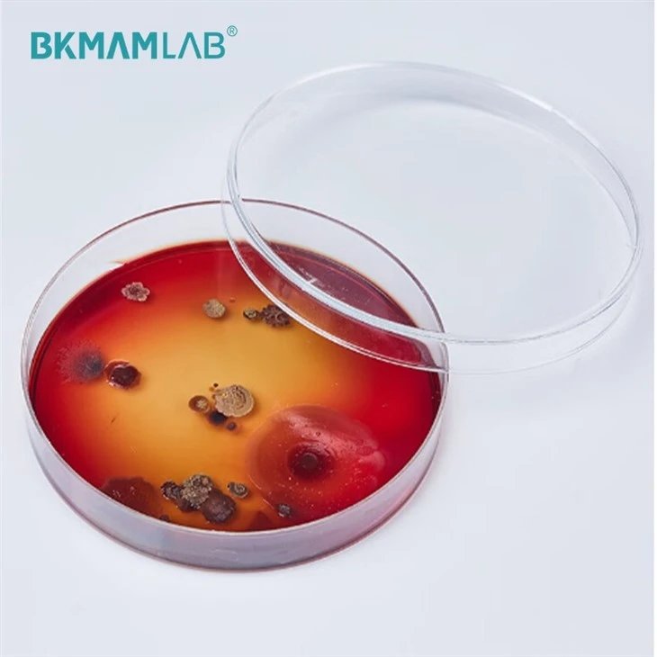 Aseptic Lab Agar Plates